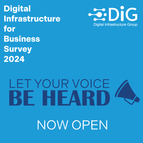 Digital Infrastructure for Business Survey launched